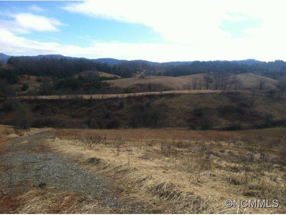 1 East Rolling Meadows Lane Weaverville NC 28787