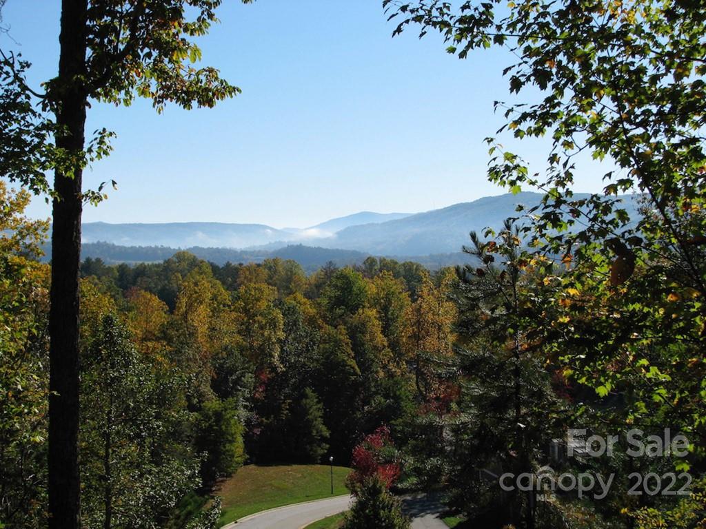 Tbd Pine Mountain Trail Brevard NC 28712