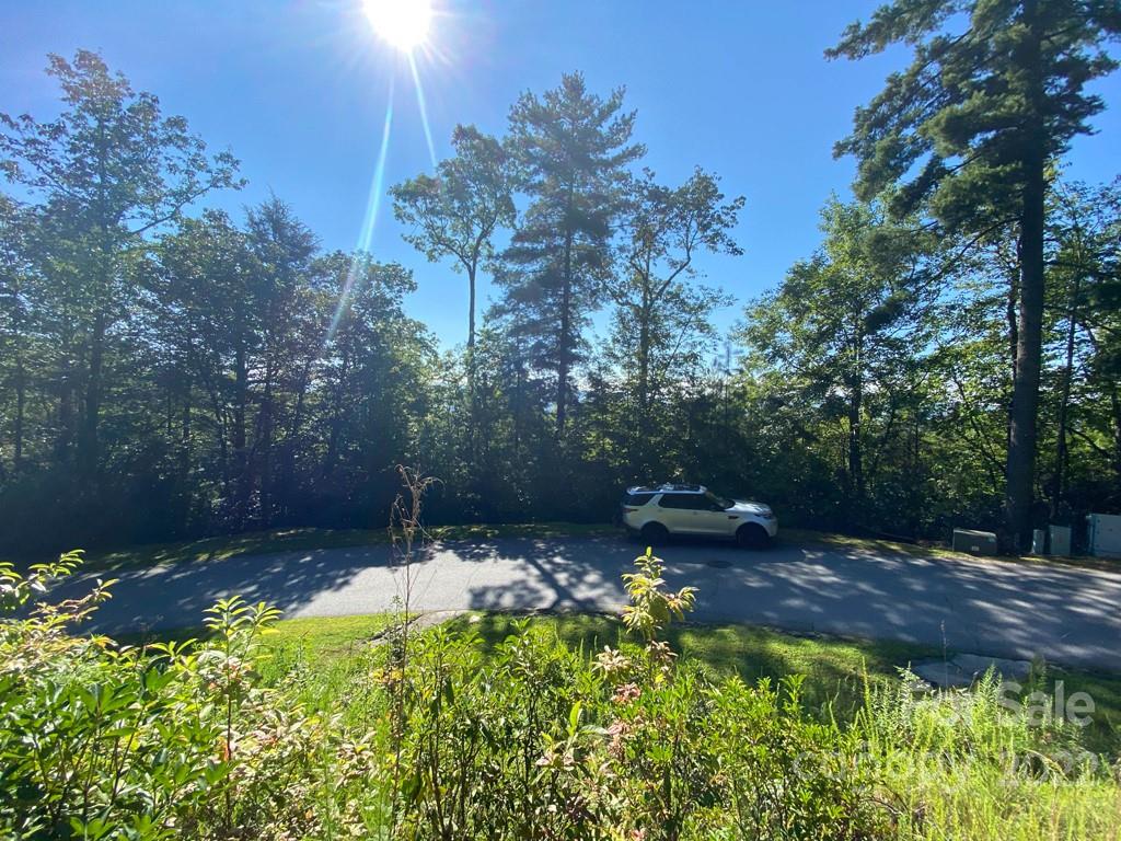 Tbd Pine Mountain Trail Brevard NC 28712