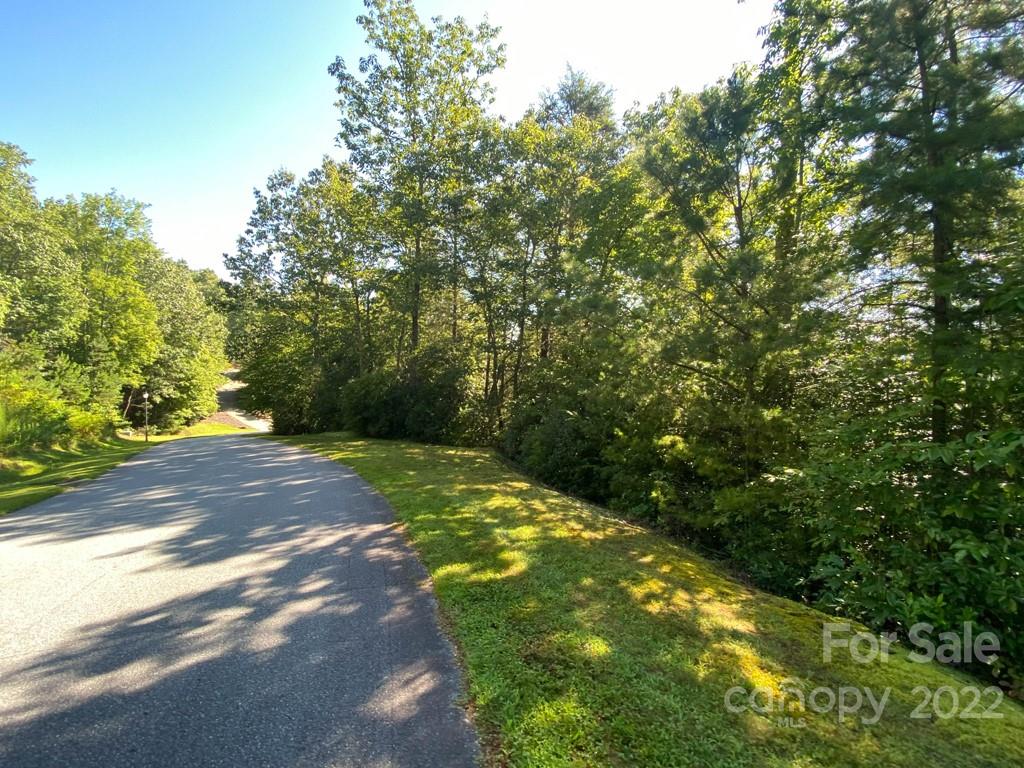 Tbd Pine Mountain Trail Brevard NC 28712