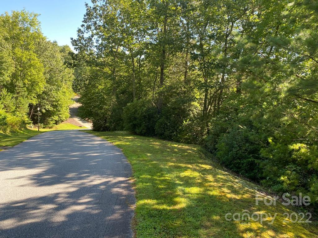 Tbd Pine Mountain Trail Brevard NC 28712