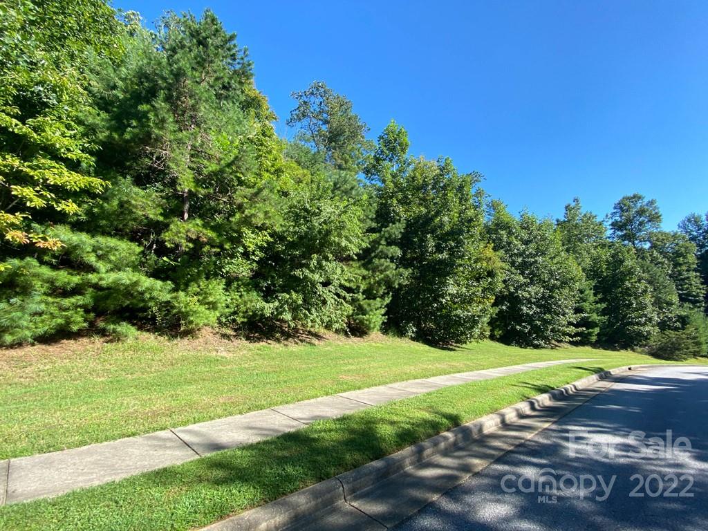 Tbd Pine Mountain Trail Brevard NC 28712