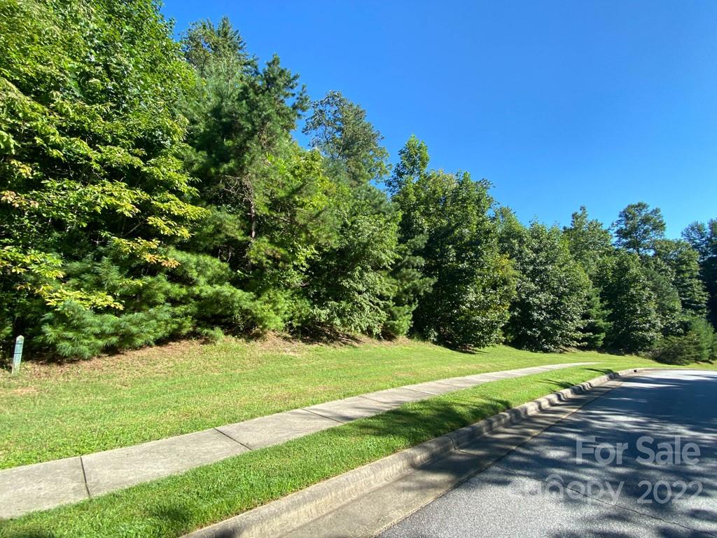 Tbd Pine Mountain Trail Brevard NC 28712