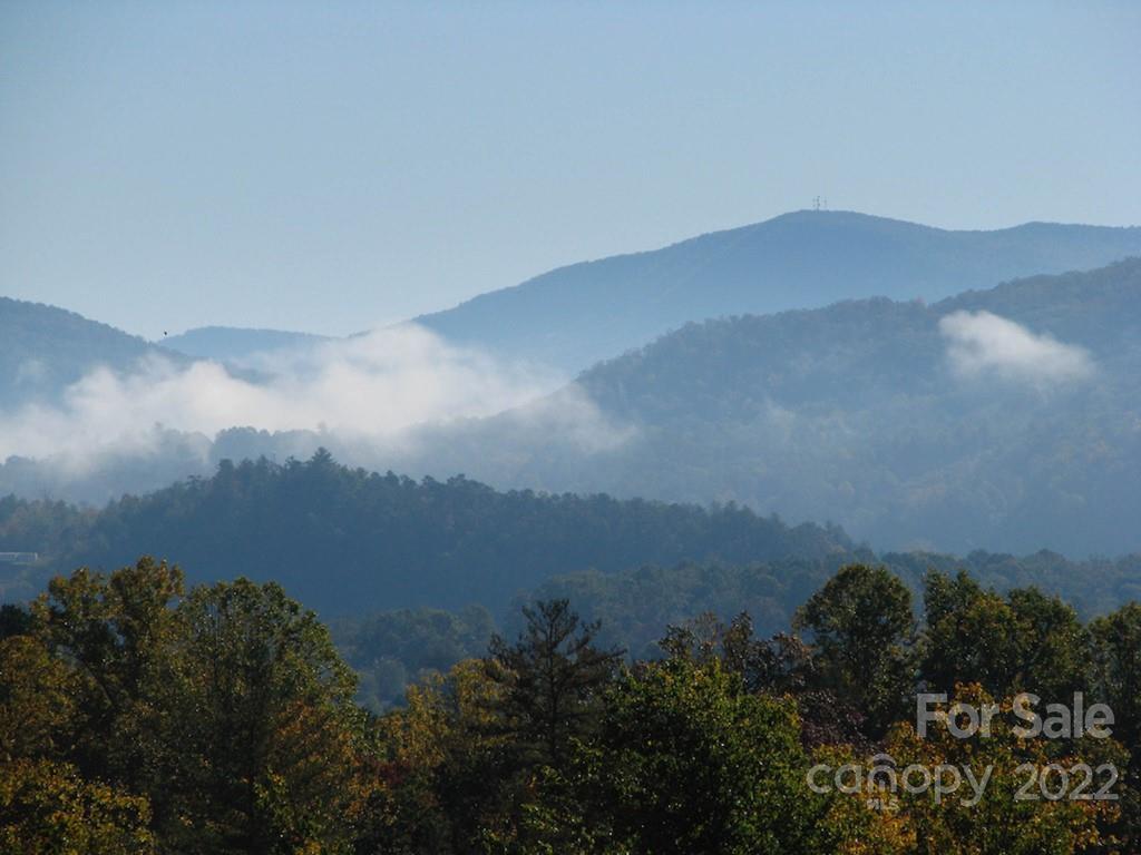 Tbd Pine Mountain Trail Brevard NC 28712
