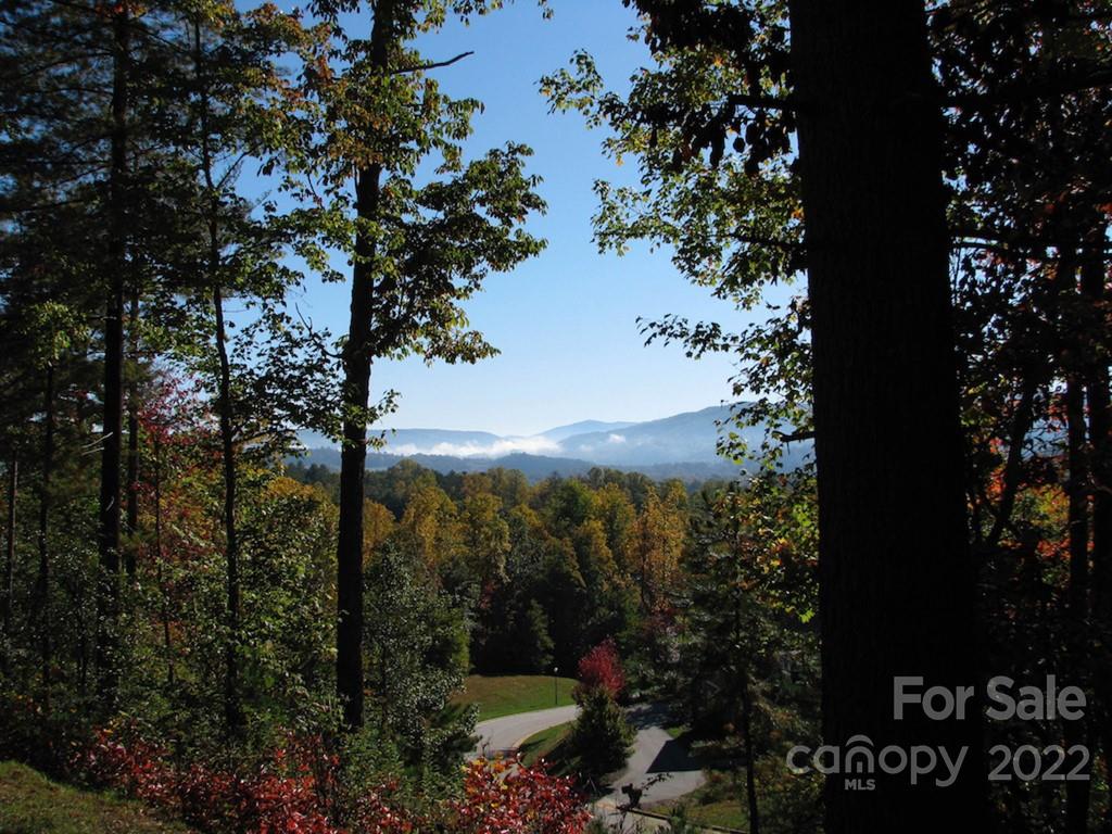 Tbd Pine Mountain Trail Brevard NC 28712
