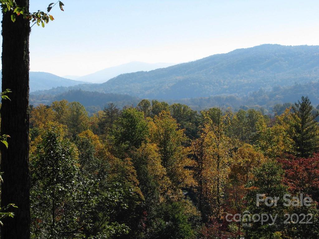 Tbd Pine Mountain Trail Brevard NC 28712