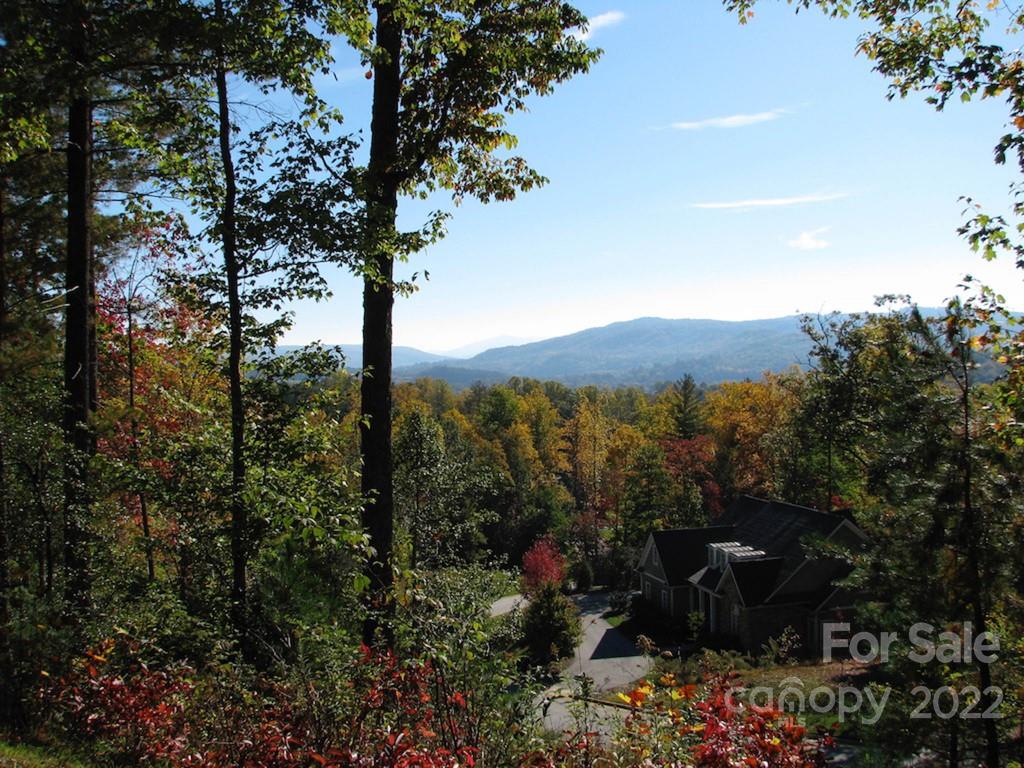 Tbd Pine Mountain Trail Brevard NC 28712