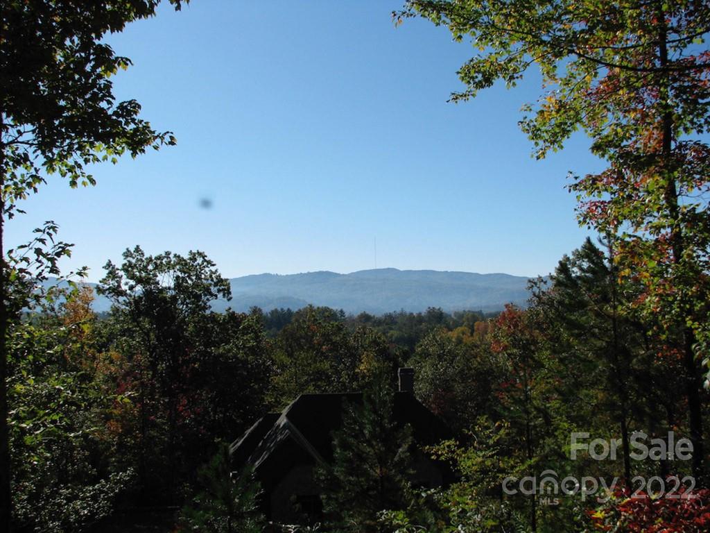 Tbd Pine Mountain Trail Brevard NC 28712