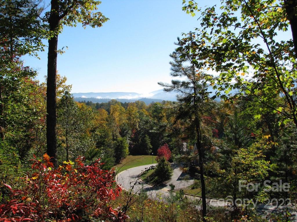 Tbd Pine Mountain Trail Brevard NC 28712