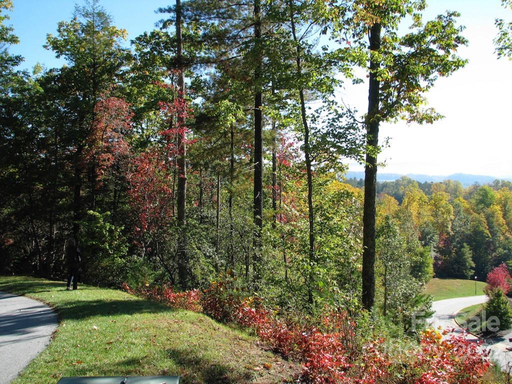 Tbd Pine Mountain Trail Brevard NC 28712