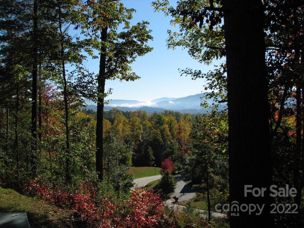 Tbd Pine Mountain Trail Brevard NC 28712