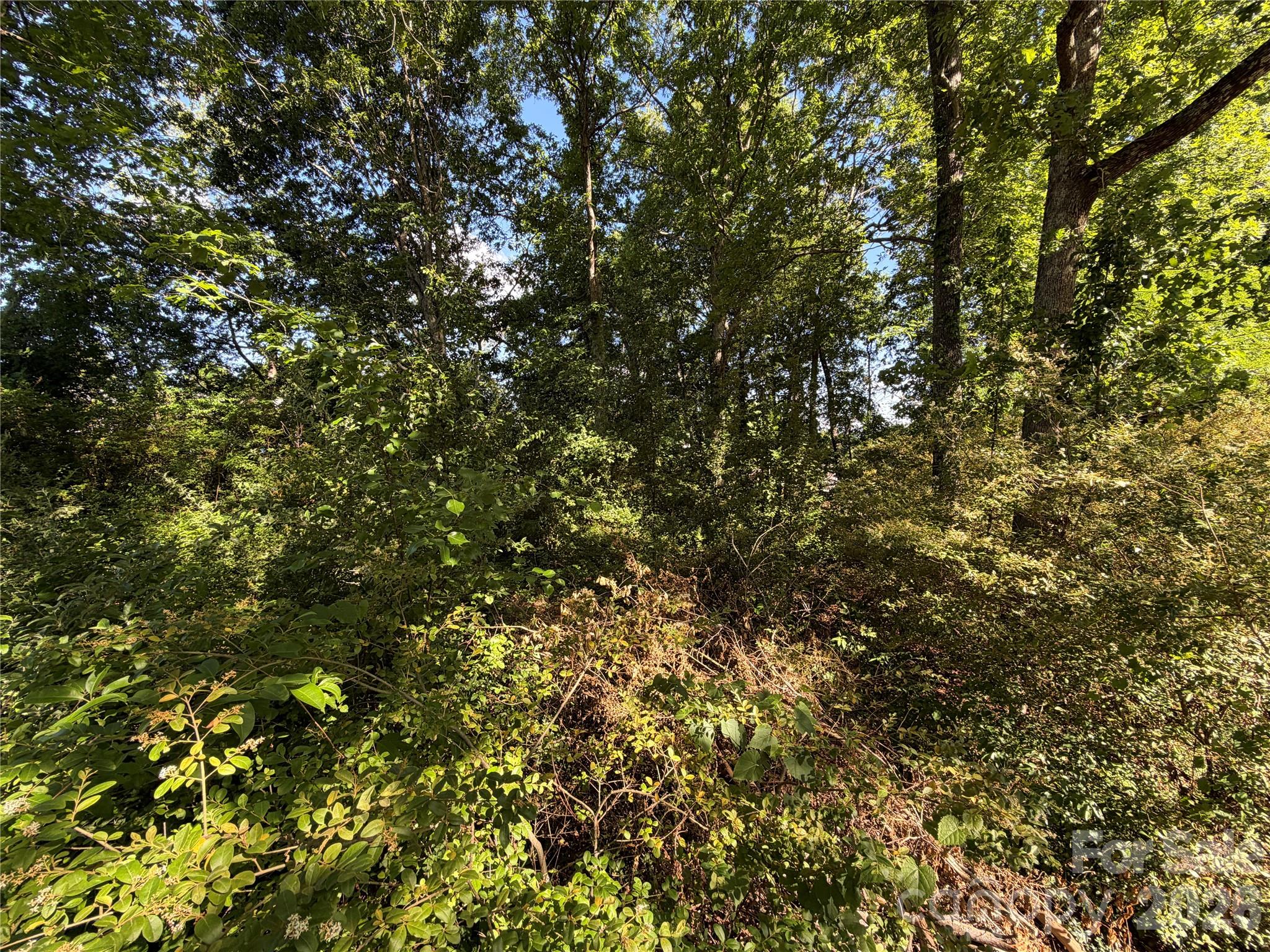 3212 Robert Clontz Place Granite Falls NC 28630