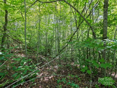 Lot #46 Hazel Hollow Drive Sylva NC 28779