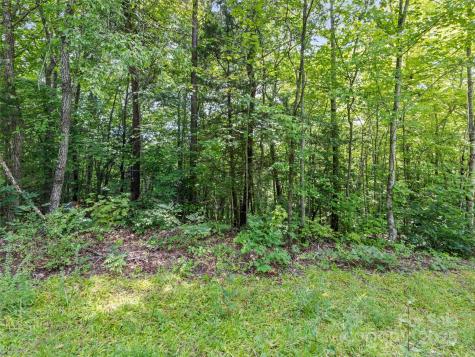 Lot #46 Hazel Hollow Drive Sylva NC 28779