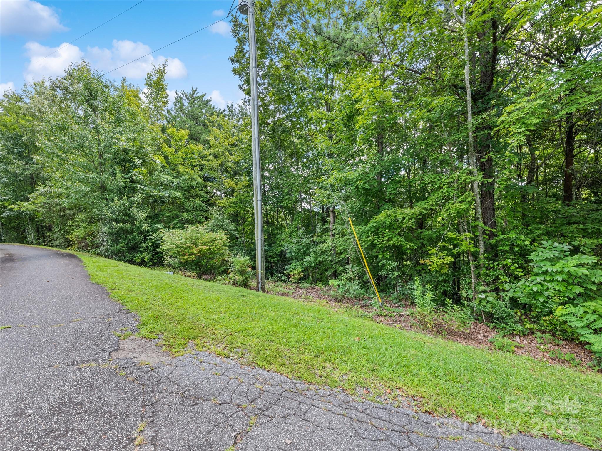 Lot #46 Hazel Hollow Drive Sylva NC 28779
