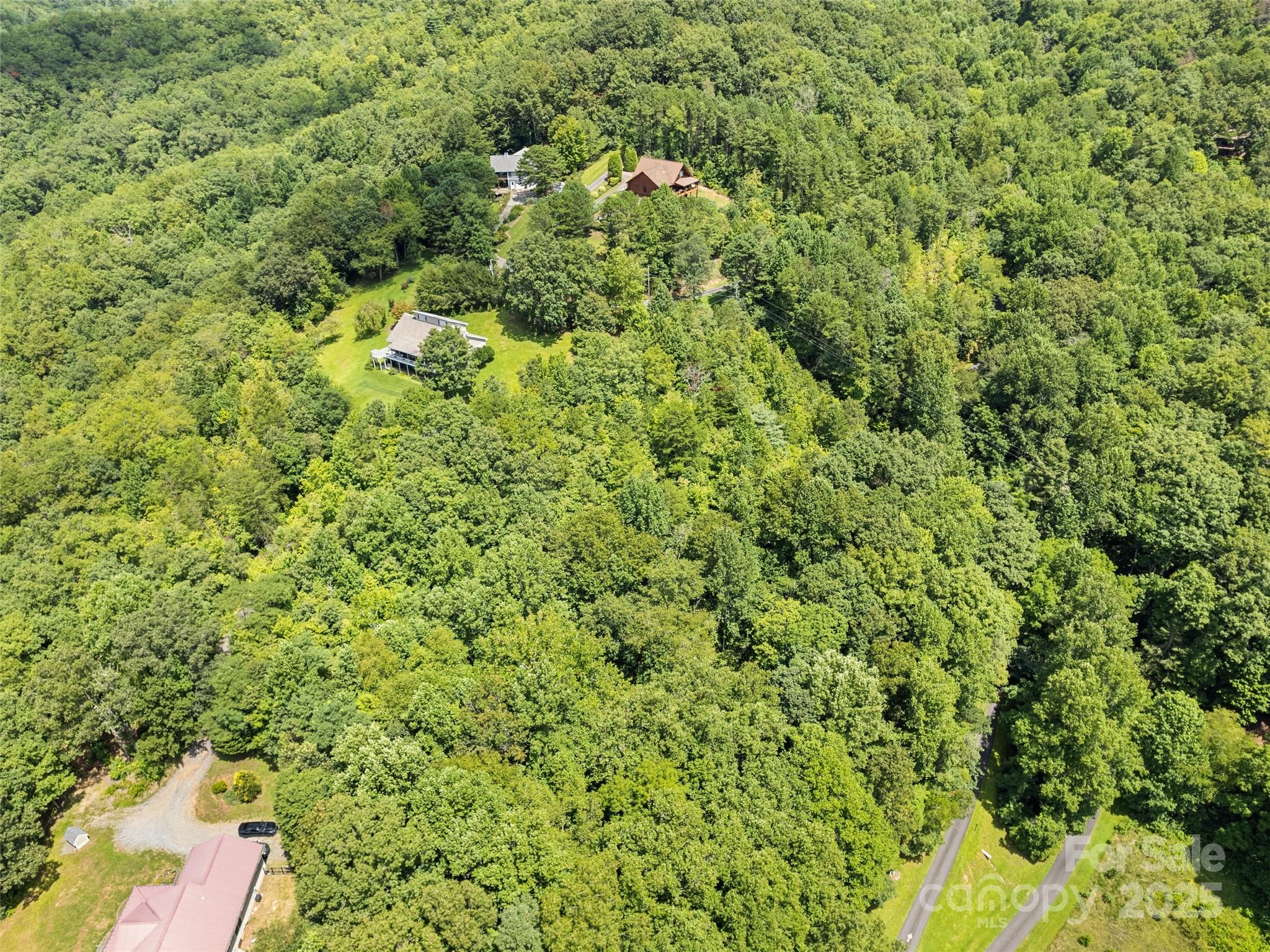 Lot #46 Hazel Hollow Drive Sylva NC 28779