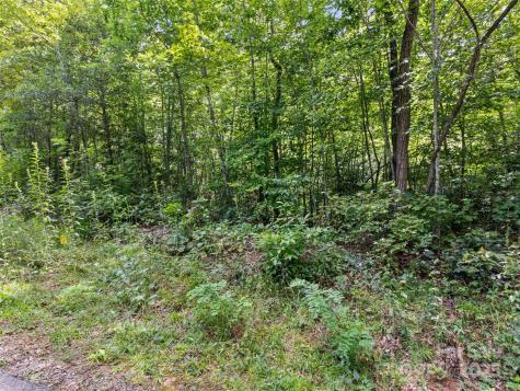 Lot #46 Hazel Hollow Drive Sylva NC 28779