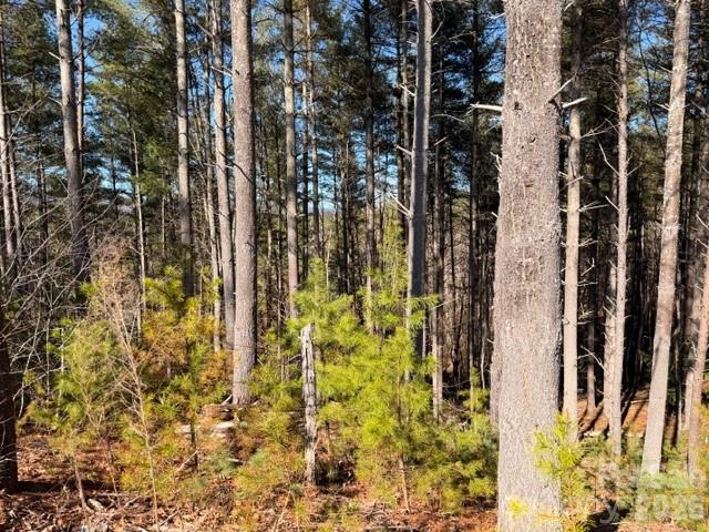 32 Clear View Way Nebo NC 28761