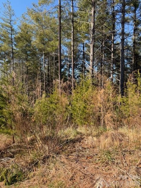32 Clear View Way Nebo NC 28761