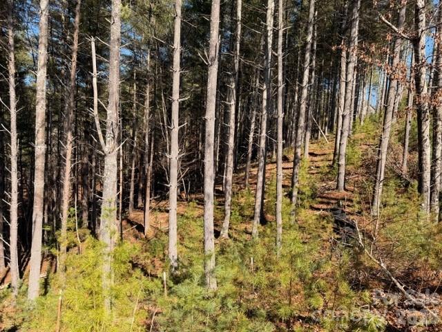 32 Clear View Way Nebo NC 28761