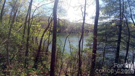 Lot 5 Dars Lane Tuckasegee NC 28783