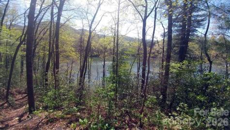 Lot 5 Dars Lane Tuckasegee NC 28783