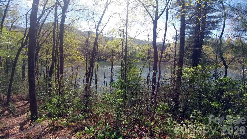 Lot 5 Dars Lane Tuckasegee NC 28783