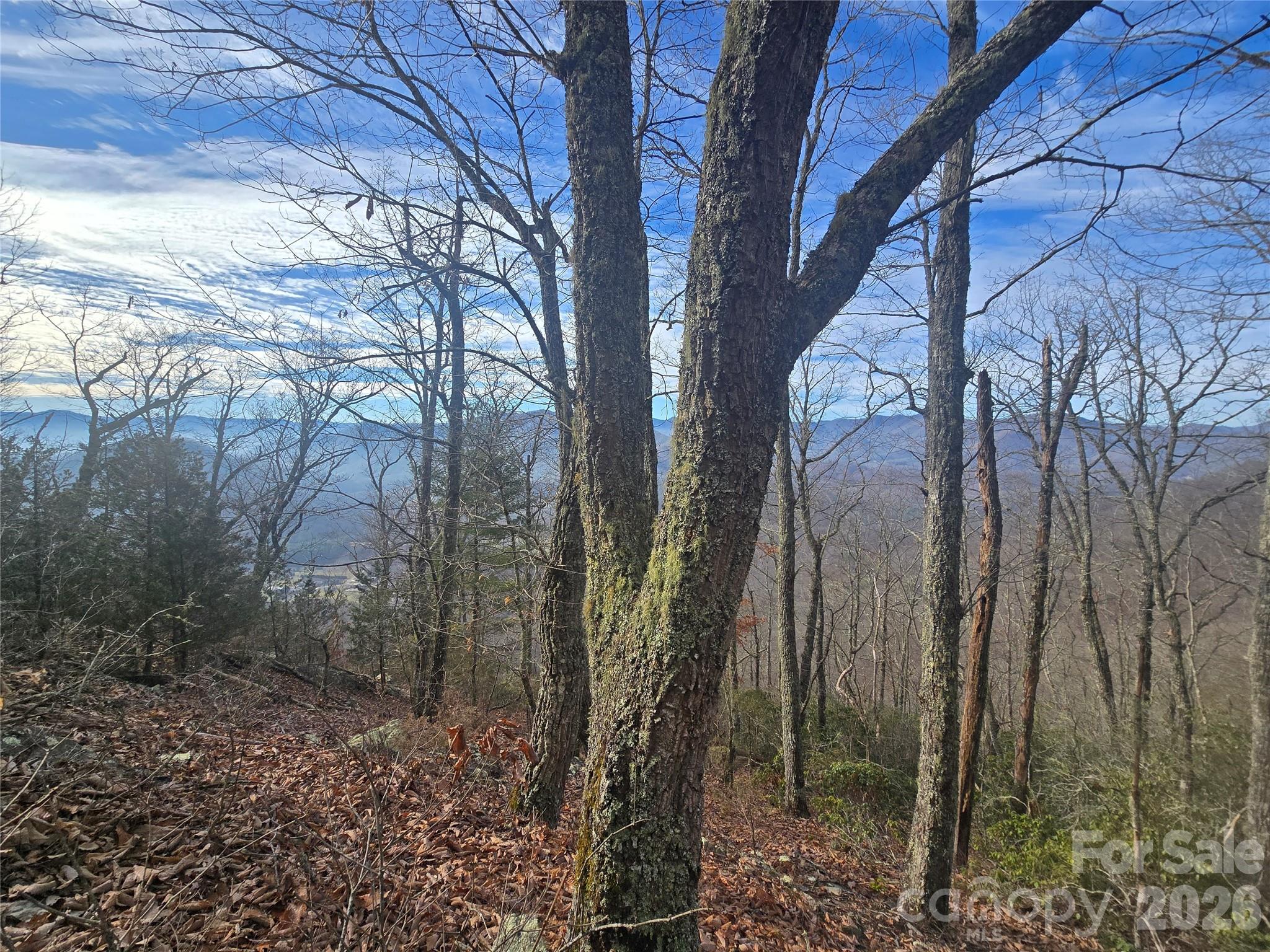 0000 Black Mountain Road Cullowhee NC 28723