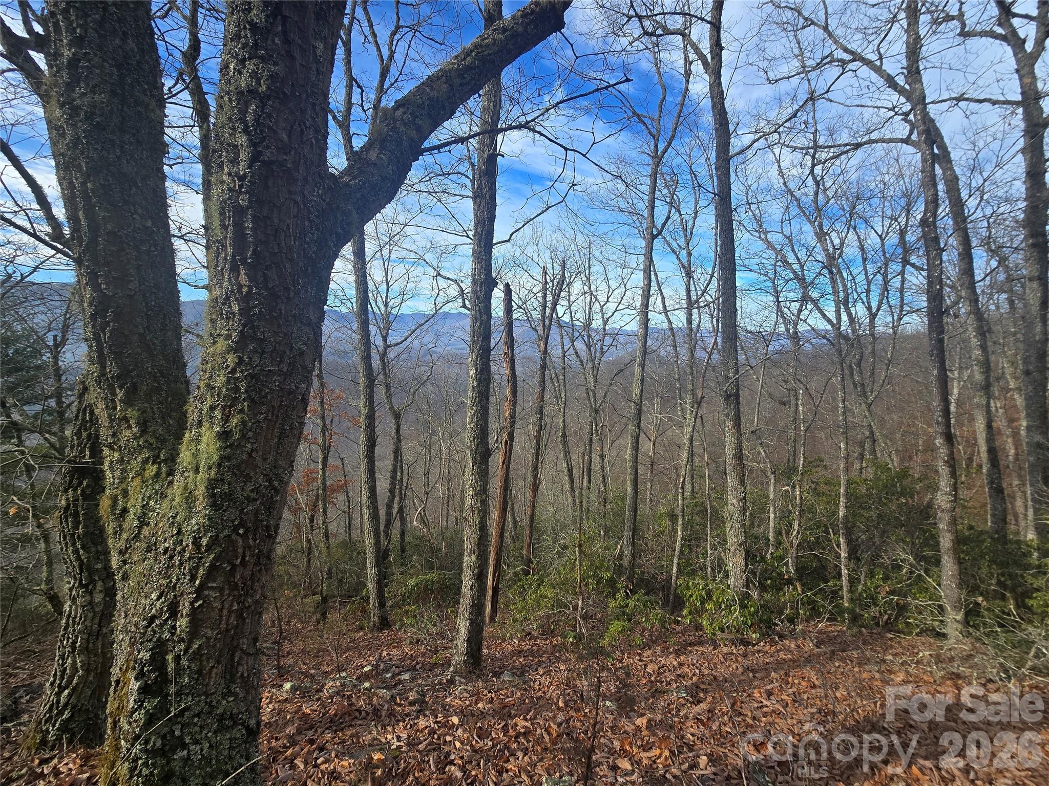 0000 Black Mountain Road Cullowhee NC 28723
