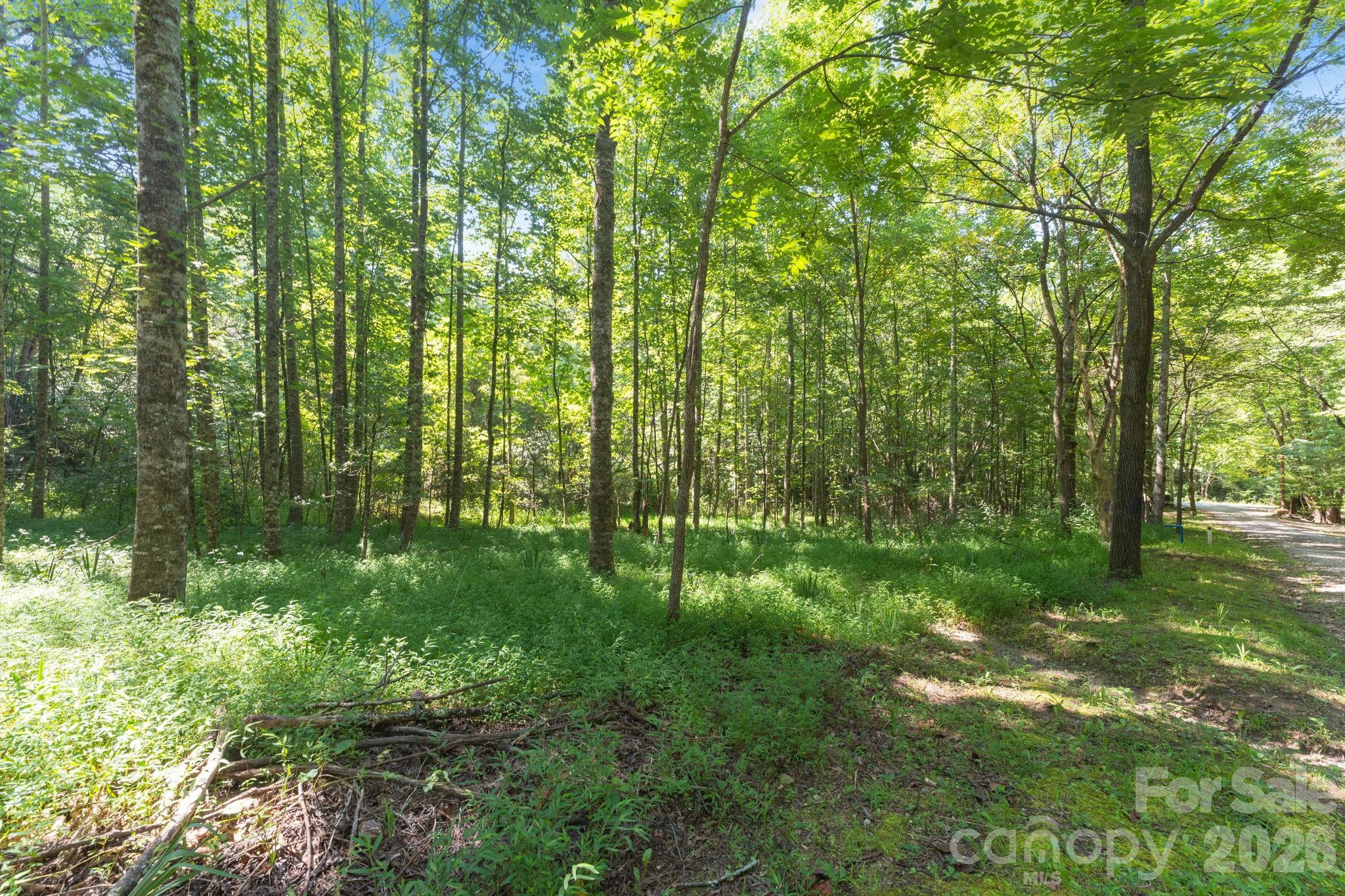 80 Breezewood Drive Bryson City NC 28713