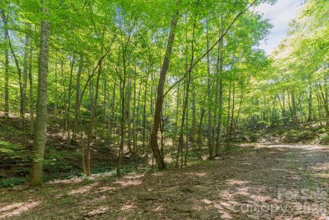 80 Breezewood Drive Bryson City NC 28713