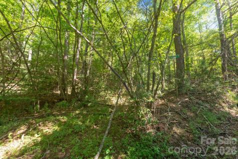 80 Breezewood Drive Bryson City NC 28713
