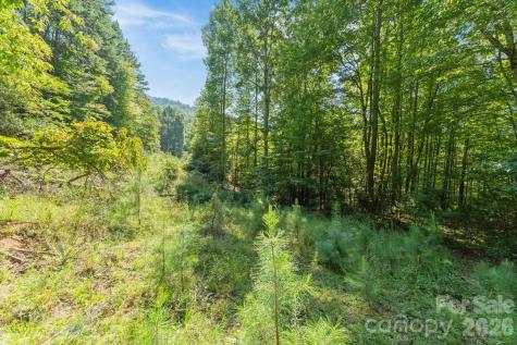 80 Breezewood Drive Bryson City NC 28713