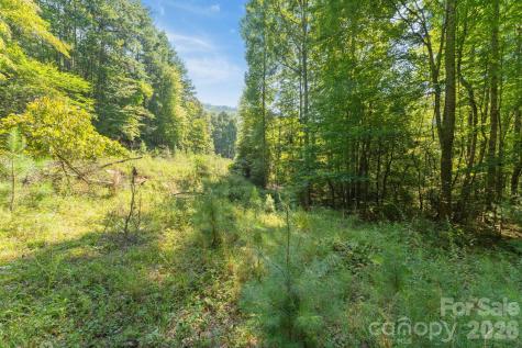 80 Breezewood Drive Bryson City NC 28713
