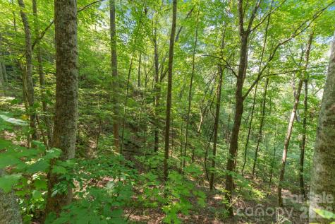 80 Breezewood Drive Bryson City NC 28713