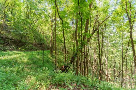 80 Breezewood Drive Bryson City NC 28713