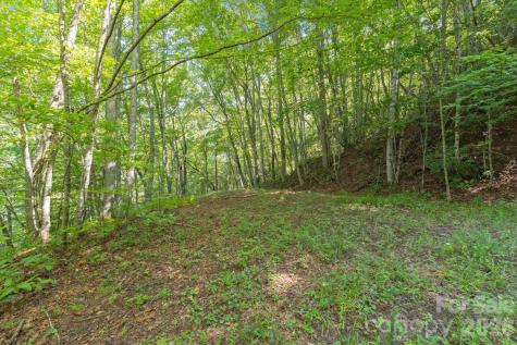 80 Breezewood Drive Bryson City NC 28713