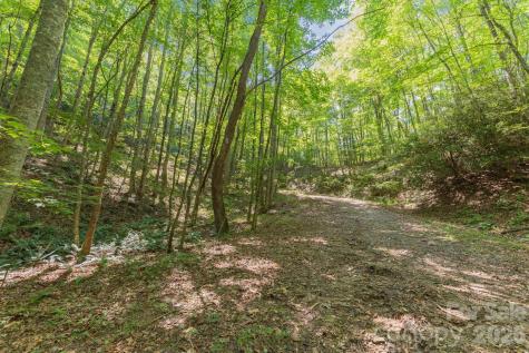 80 Breezewood Drive Bryson City NC 28713