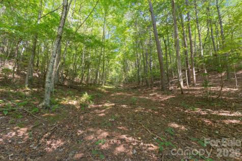 80 Breezewood Drive Bryson City NC 28713