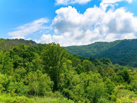 24 Endless View Drive Weaverville NC 28787