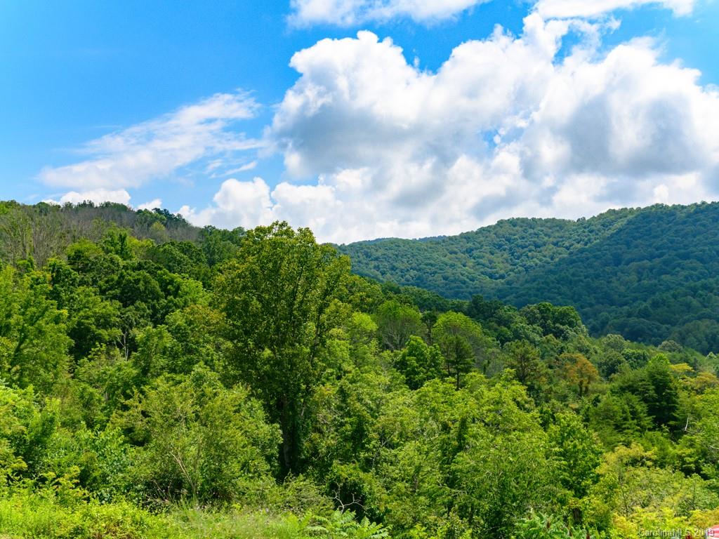 24 Endless View Drive Weaverville NC 28787