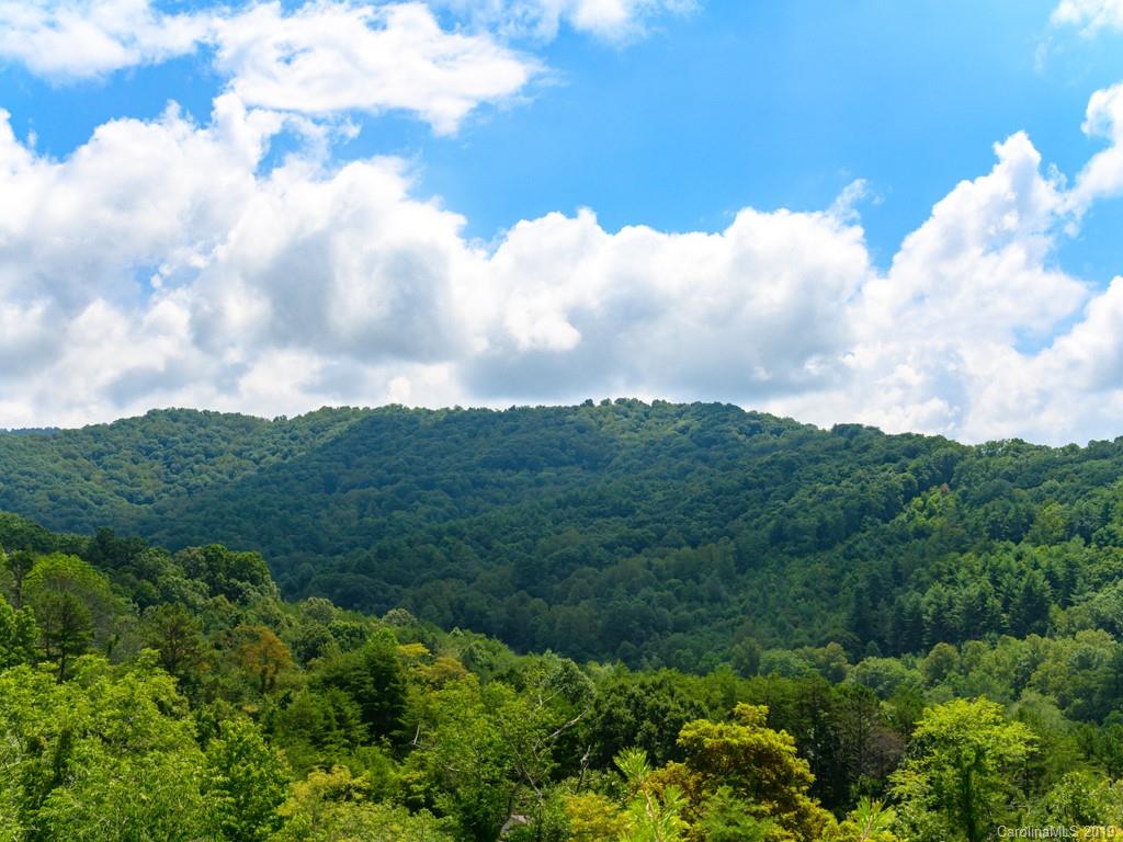 24 Endless View Drive Weaverville NC 28787