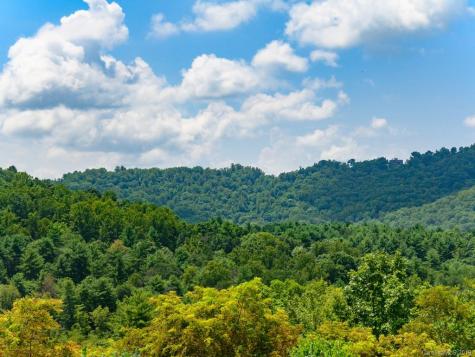 24 Endless View Drive Weaverville NC 28787