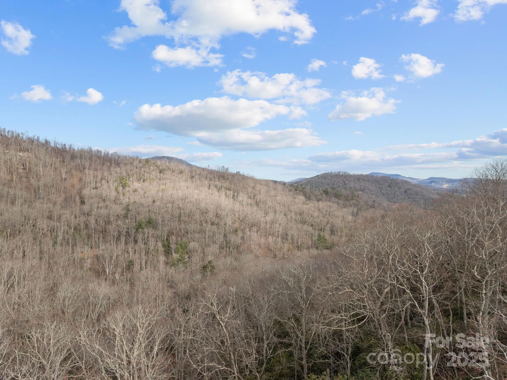 1443 Old Mill Road Hendersonville NC 28792