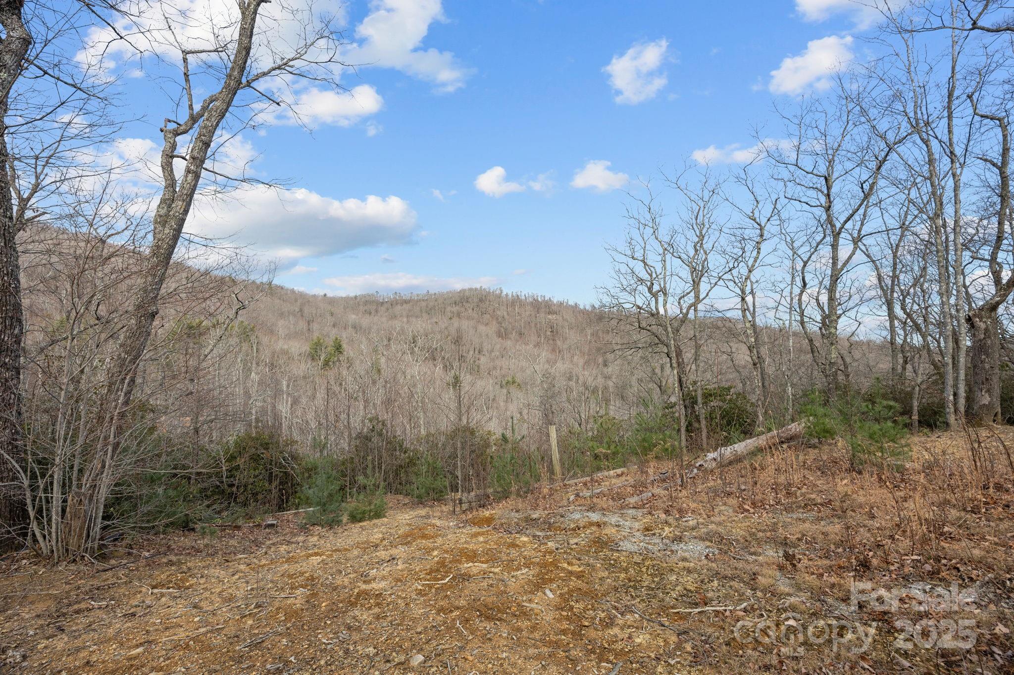 1443 Old Mill Road Hendersonville NC 28792