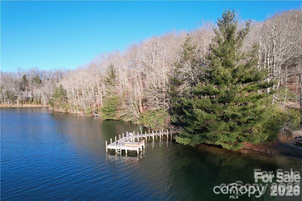 U19 L053 Gawanv Court Brevard NC 28712