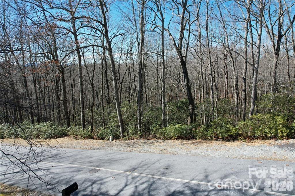 U19 L053 Gawanv Court Brevard NC 28712