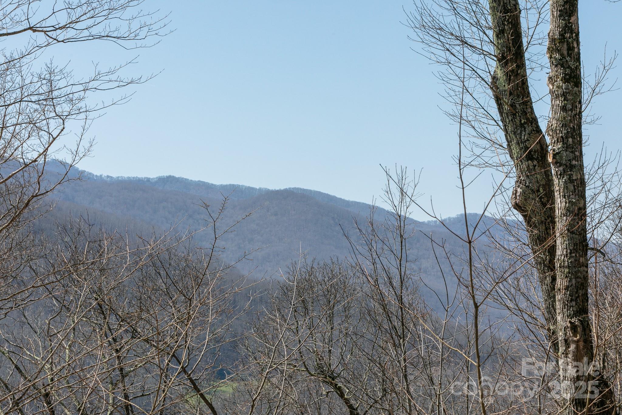 Lot 13 Austin Mountain Drive Burnsville NC 21714