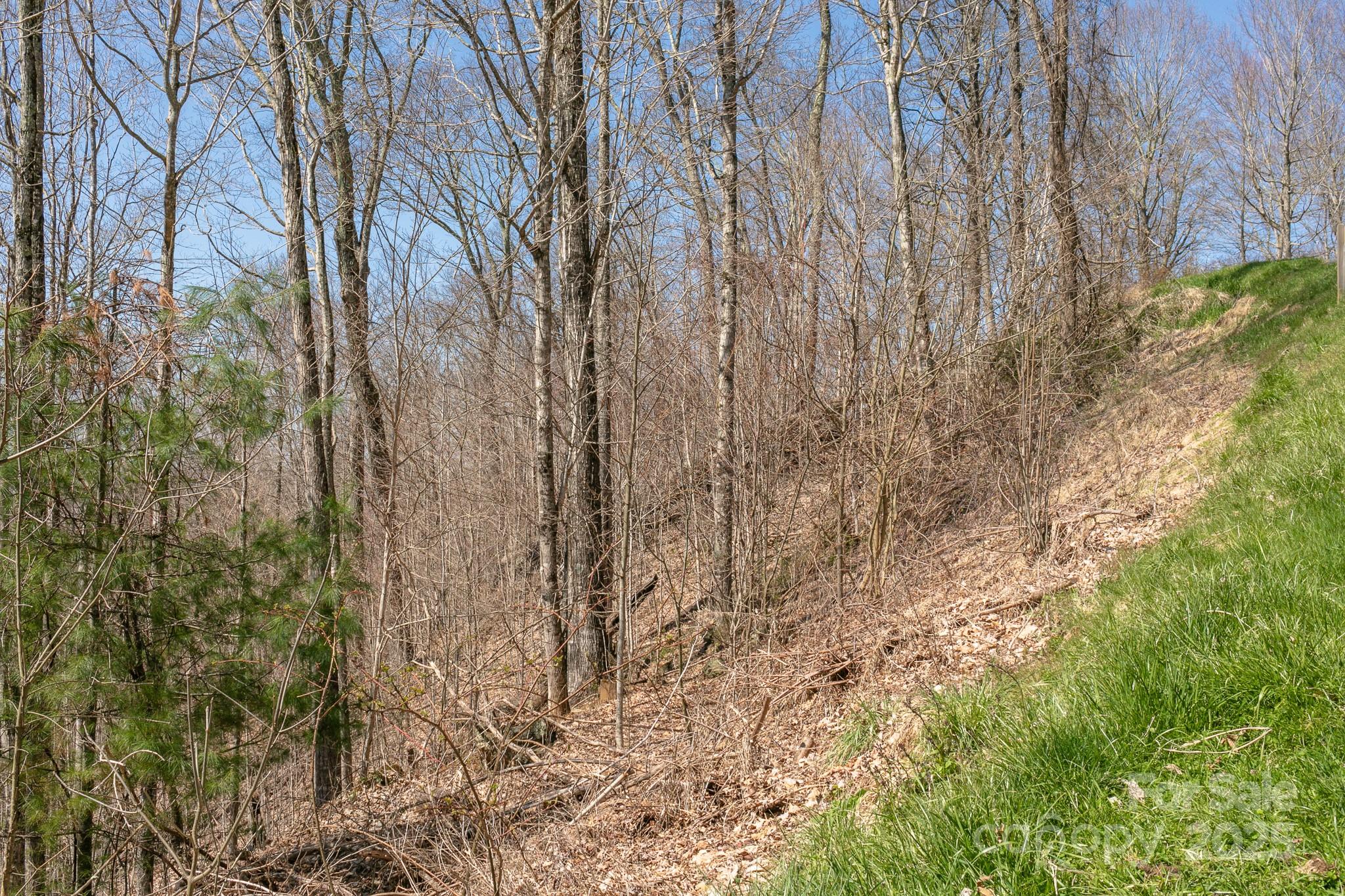 Lot 13 Austin Mountain Drive Burnsville NC 21714