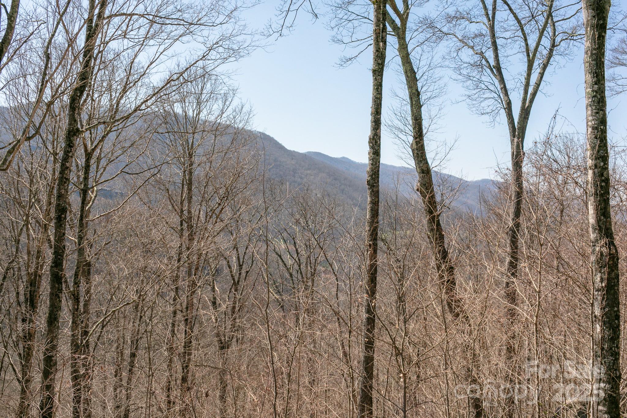 Lot 13 Austin Mountain Drive Burnsville NC 21714